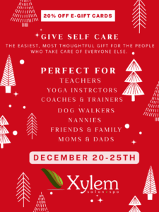 Xylem Holiday Discount