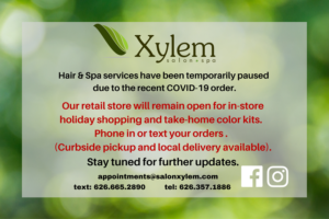 Xylem Hair & Spa Paused 2