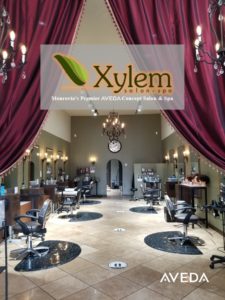Xylem Salon Interior With Glow Logo