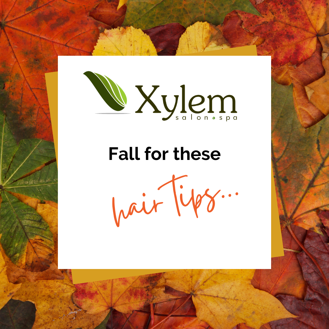 Fall season hair tips