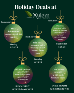 Black Friday promotions